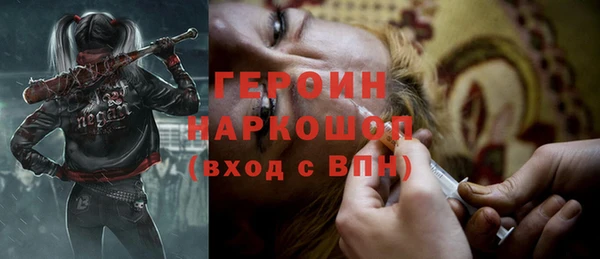 ГАЛЛЮЦИНОГЕННЫЕ ГРИБЫ Строитель