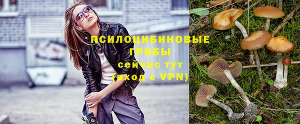 гидропоника Струнино
