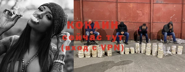 МДПВ Богородск
